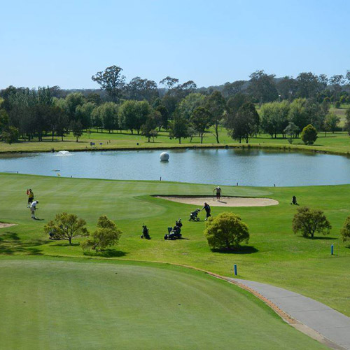 moruya golf course