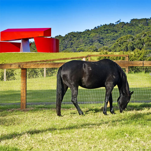 willinga park equestrian centre in bawley point